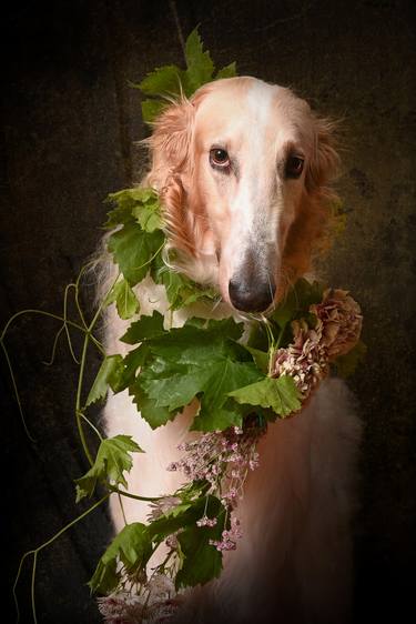 Original Figurative Dogs Photography by Tatsiana Melnikava
