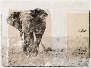 Print of Animal Printmaking by Vladimir BRUNTON