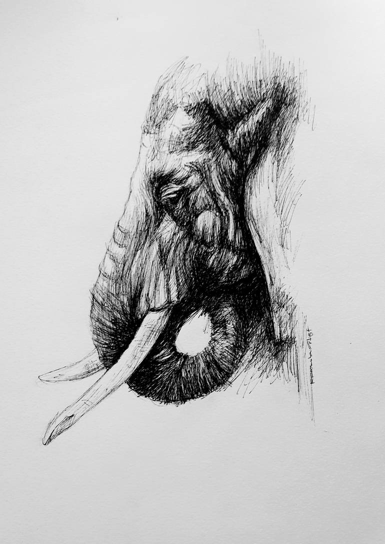 Original Art, Elephant Pen and Ink Drawing, Wildlife Illustration