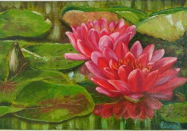Red water lilies thumb
