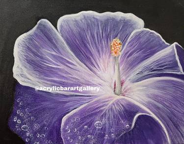 purple hibiscus flower study - dew drops at dawn thumb
