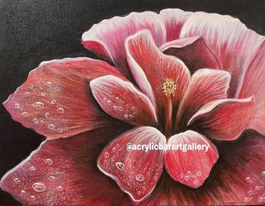 red hibiscus flower study- dew drops present at dawn time thumb