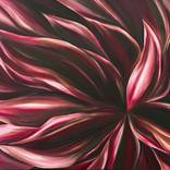 After Dark by Tara Cunniffe