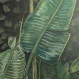Hot House Greens by Hannah Weatherhead
