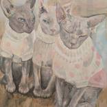 The Court Jesters by Hannah Weatherhead