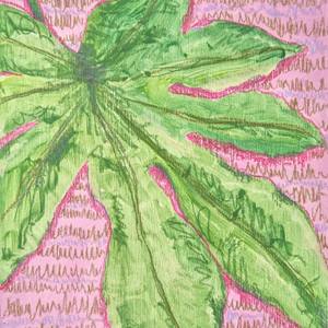 Fatsia Japonica