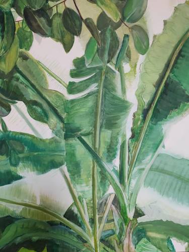 Original Fine Art Botanic Paintings by Hannah Weatherhead