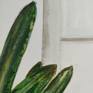 Painted by a plant lover, a still life of a potted plant in my bathroom. 

Oil on wooden panel and ready to hang.