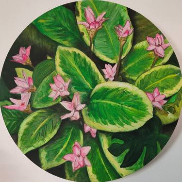 Original Modern Botanic Paintings by Hannah Weatherhead