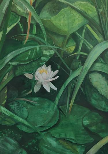 Print of Fine Art Botanic Paintings by Hannah Weatherhead