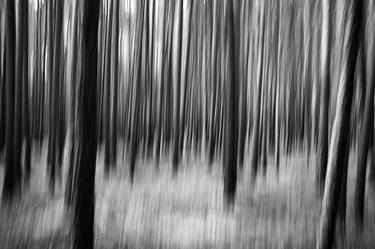 Print of Fine Art Nature Photography by Rolf Florschuetz