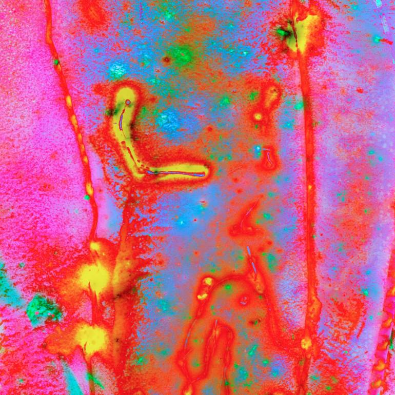 Moonflowers - Limited Edition of 12 Original Photography by dale battin