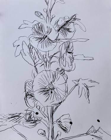Original Floral Drawings by John Kilduff