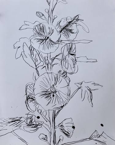 Original Impressionism Floral Drawings by John Kilduff