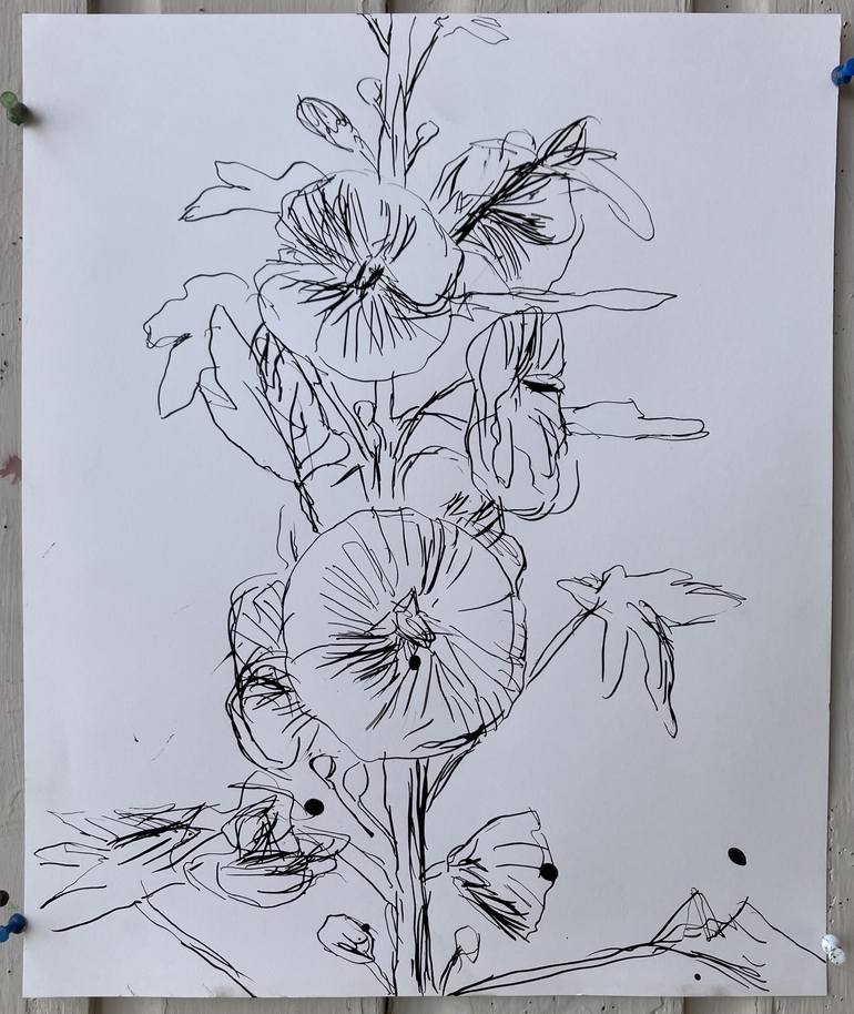 Original Floral Drawing by John Kilduff