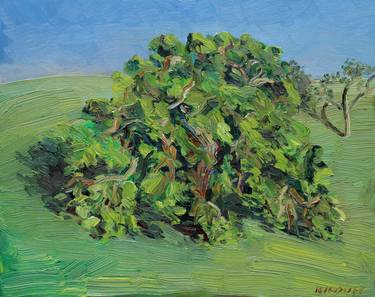 Original Impressionism Tree Paintings by John Kilduff