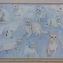 From my cat portrait series. This is a group of white cats.