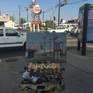 Plein air painting of Circus Liquors in Los Angeles, California.