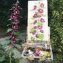 Plein air (painted on location) painting of a hollyhock. Oil on Cardboard.
