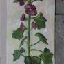 Plein air oil on cardboard painting of a hollyhock in my backyard. This is the largest one I did.