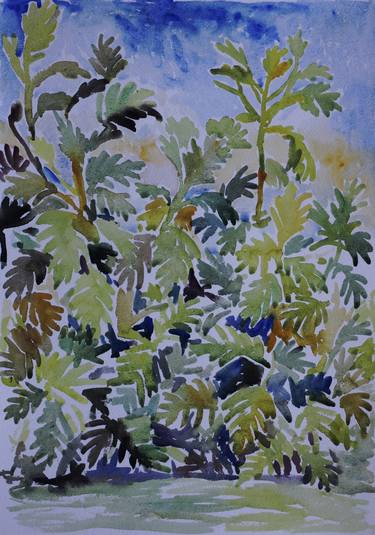 Original Fine Art Botanic Paintings by John Kilduff