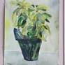 Still life of a yellow poinsettia done in watercolors.