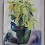 Still life of a yellow poinsettia plant done in watercolors.