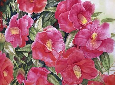 Print of Fine Art Botanic Paintings by Andrea Snuggs