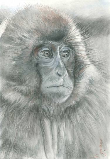 Print of Figurative Animal Drawings by Andrea Snuggs