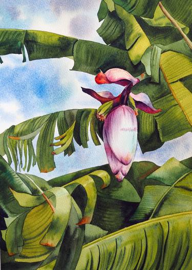 Original Fine Art Botanic Paintings by Delnara El