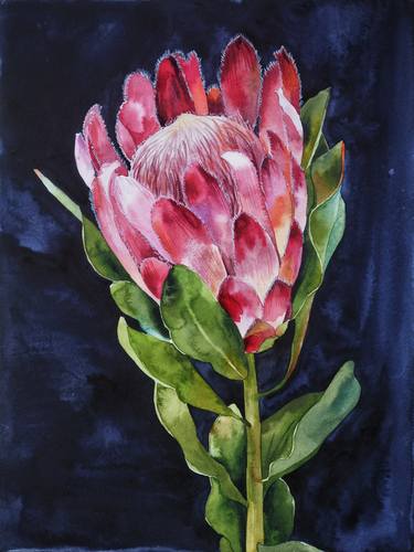 Print of Figurative Floral Paintings by Delnara El