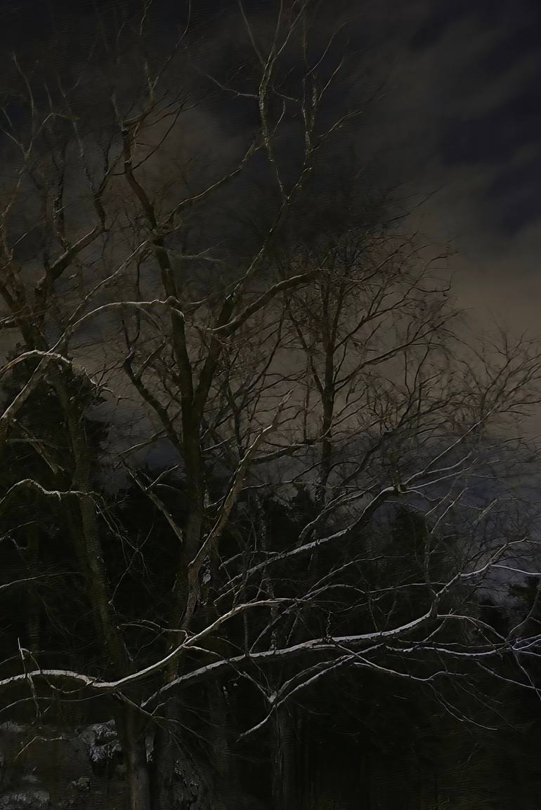 Original Nature Photography by Erik Stenbeck | Conceptual Art on Paper | Light Dwells Behind The Night