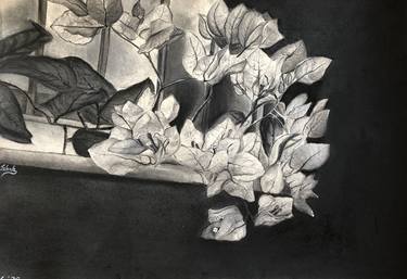 Original Conceptual Floral Drawings by Isha Shah