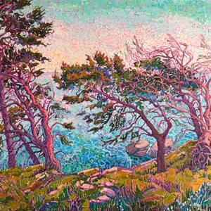 Collection Mediterranean Revival