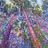 Collection Trending Now: Landscapes