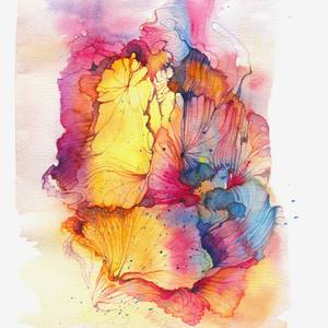 Collection Focus on the Light - listen to your soul