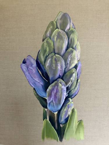 Hyacinth Blue #1 thumb