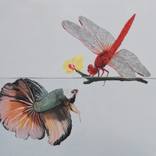 The Fish and the Dragonfly by Pasquale Pacelli