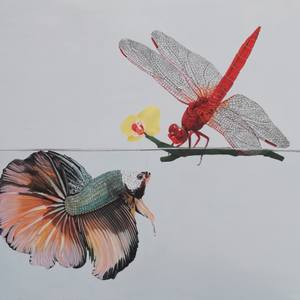 The Fish and the Dragonfly