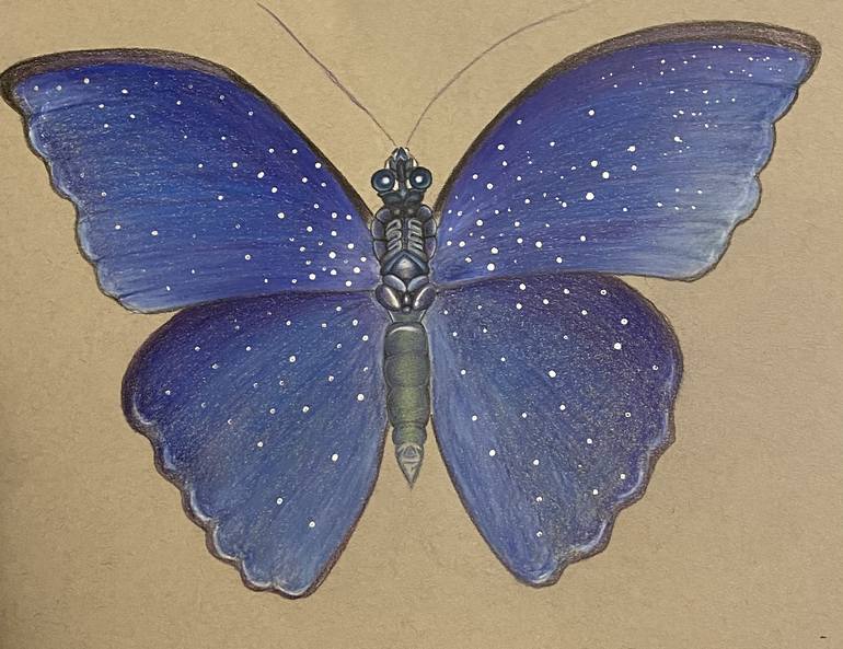 blue butterfly drawing