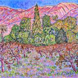 Collection Foothill Vines