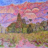 Collection Foothill Vines