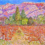 Collection Foothill Vines