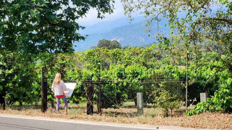 Original Abstract Expressionism Landscape Painting by Linda Paterson