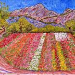 Collection Flowers In The Foothills