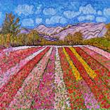 Collection Flowers In The Foothills