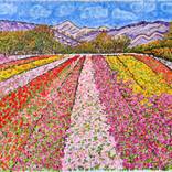 Collection Flowers In The Foothills