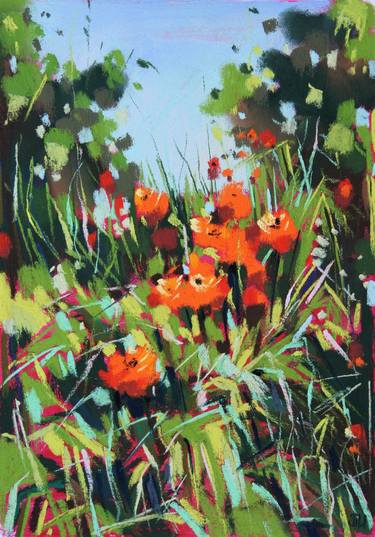 Red poppies thumb