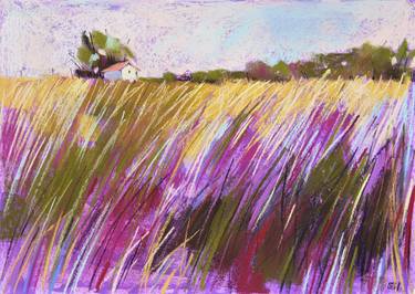 Lavender field. Tuscany thumb