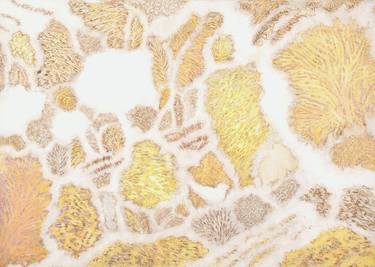 Original Abstract Nature Collage by Myungsoo Yi